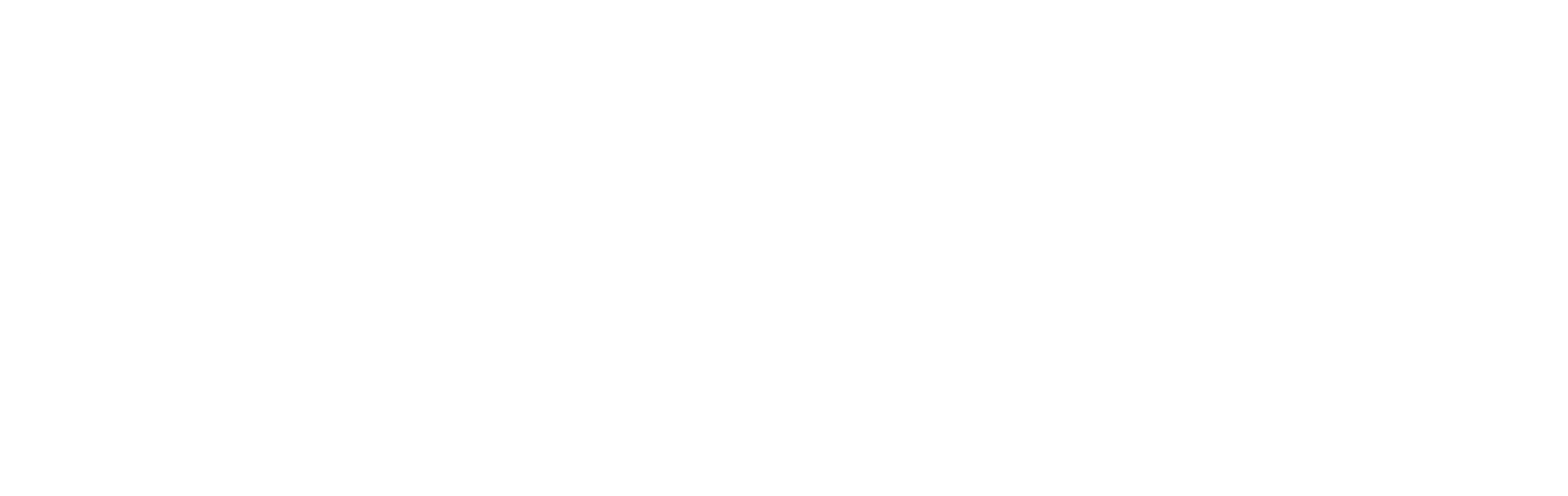 White Logo